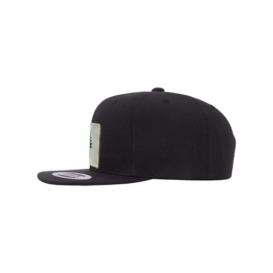 Side view of a black cap with a patch of the 1901 Maine state flag against a white background