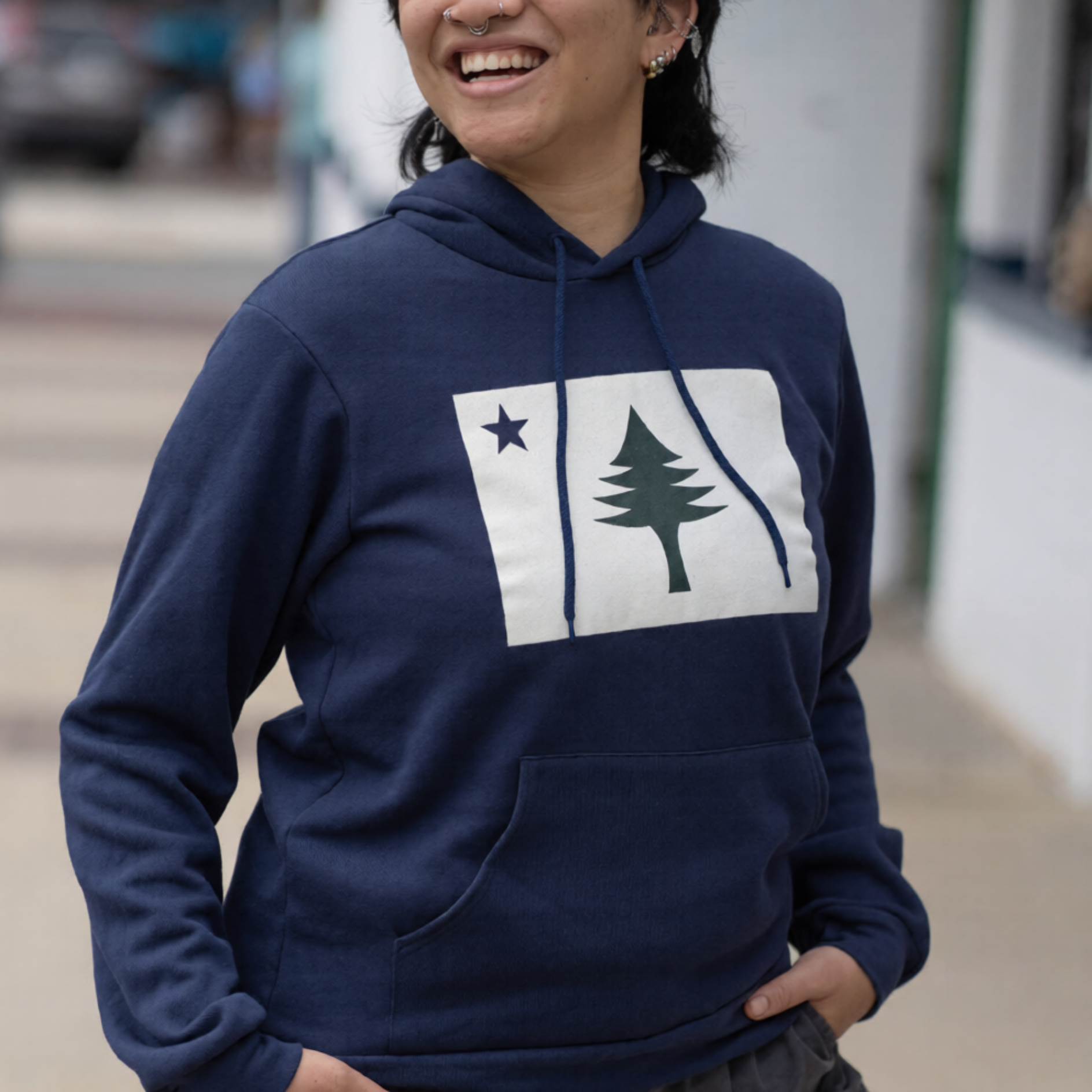 Person wearing a navy blue hoodie with a graphic design of the 1901 Maine State Flag.