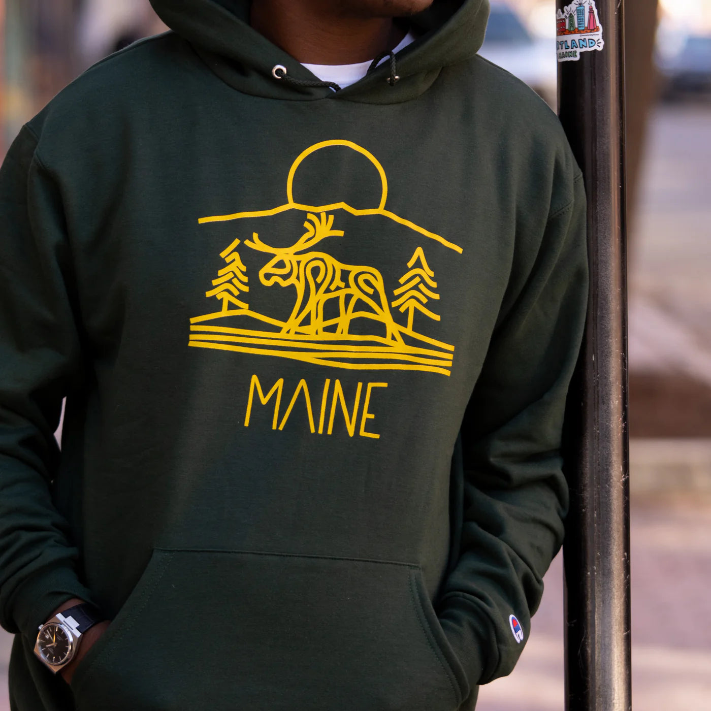 Sunset Moose Hoodie