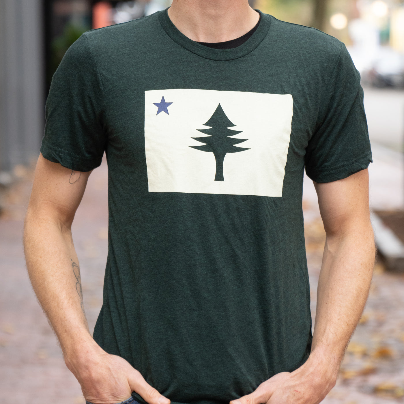 Person wearing a green t-shirt with a graphic design of the 1901 Maine State Flag.