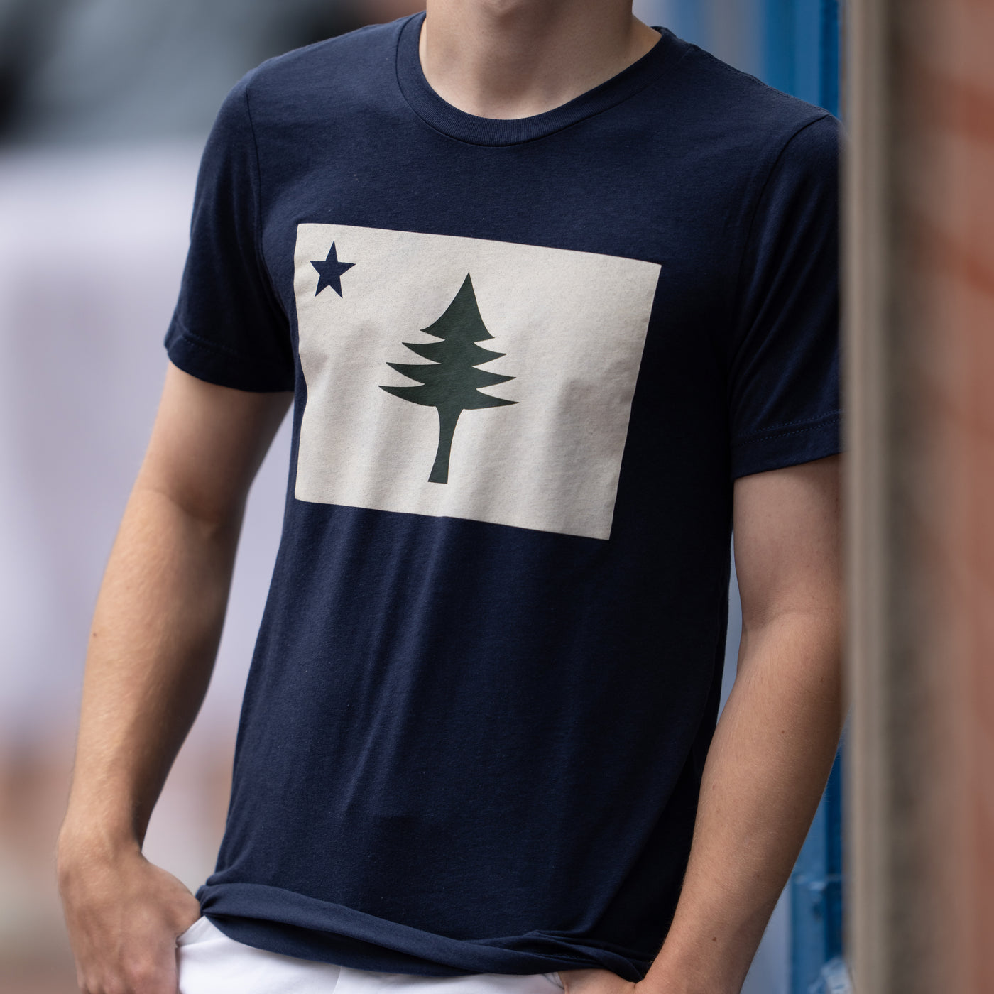 Person wearing a navy blue t-shirt with a graphic design of the 1901 Maine State Flag.